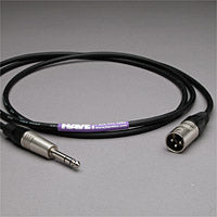 Canare Audio Interconnect XLR Male to 1/4" TRS Male 6 FT