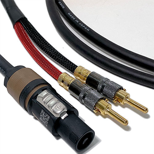 Canare 13GA Star Quad Speaker Cable Speakon to Banana 1 FT
