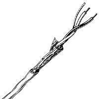 Canare L2B2-AT Microphone Cable 2-Conductor 25Awg Foil Shield - Cut
