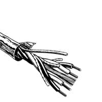 Canare L-4E6AT Star Quad Microphone Cable, 23 AWG, Foil Shield, per Foot