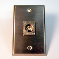 HAVE 1Gang Stainless Wallplate 1BNCF