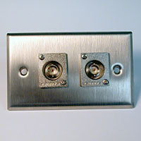 HAVE 1Gang Stainless Wallplate 2BNCF