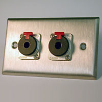 HAVE 1Gang Stainless Wallplate 2TRSF