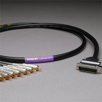 Canare Analog Audio Snake Cable 25Pin DSub to 8 RCA Male 10 FT