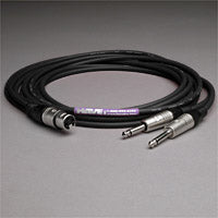 Canare Audio Insert Cable XLR Female to 2 1/4" TS Male 6 FT