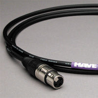 Canare Audio Interconnect XLR Male to XLR Female 10 FT