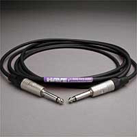 Canare GS-6 Instrument Cable 1/4" TS Male (straight) 2 FT