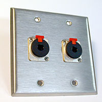 HAVE 2Gang Stainless Wallplate 2TRSF